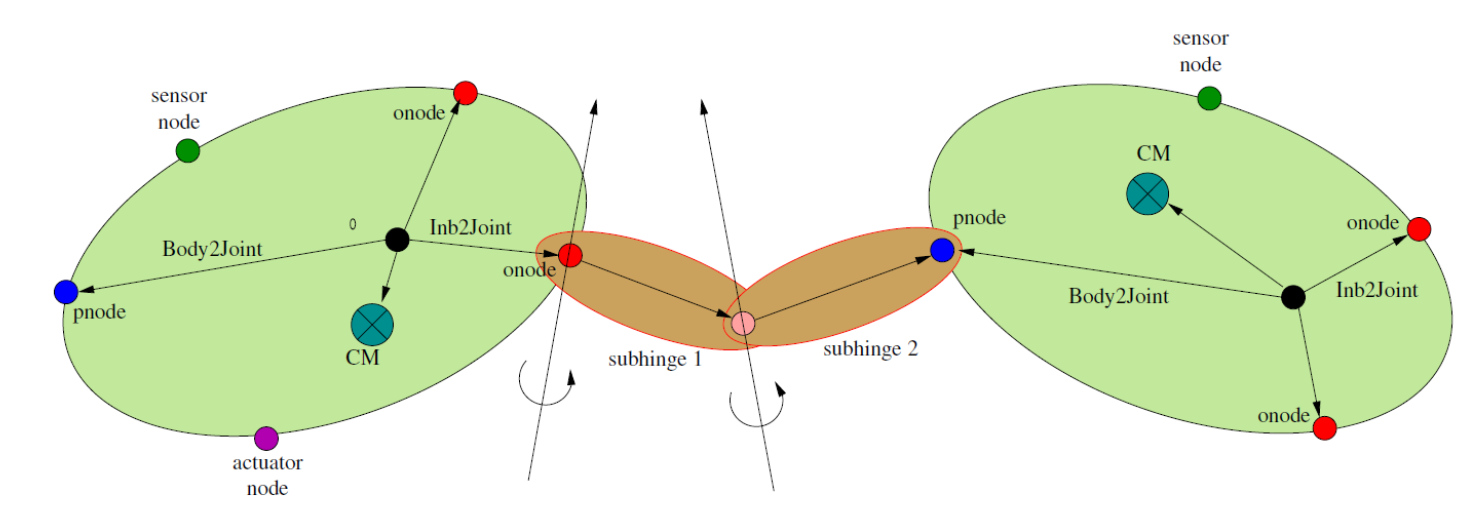 Body pair connected by a hinge