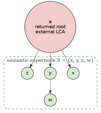 digraph returned_tree {
    // The returned Tree contains both the external LCA and supernode members.
    graph [bgcolor="transparent", rankdir=TB, nodesep=0.45, ranksep=0.6];
    node [shape=circle, style=filled, fontname="Helvetica"];
    edge [color="#4a4a4a"];

    root [label="a\nreturned root\nexternal LCA", fillcolor="#f4cccc"];

    subgraph cluster_supernode {
        label="semantic supernode S = {x, y, z, w}";
        color="#38761d";
        fontcolor="#274e13";
        style="dashed,rounded";

        x [label="x", fillcolor="#d9ead3"];
        y [label="y", fillcolor="#d9ead3"];
        z [label="z", fillcolor="#d9ead3"];
        w [label="w", fillcolor="#d9ead3"];
    }

    root -> x;
    root -> y;
    root -> z;
    y -> w;
}